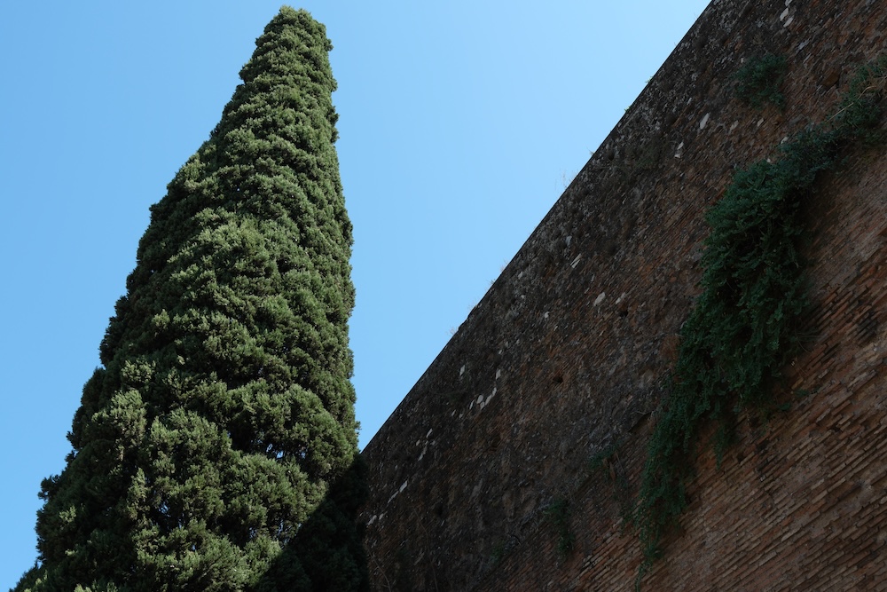 DSCF0006
